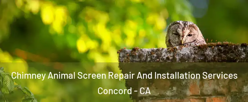 Chimney Animal Screen Repair And Installation Services Concord - CA