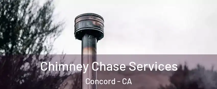 Chimney Chase Services Concord - CA