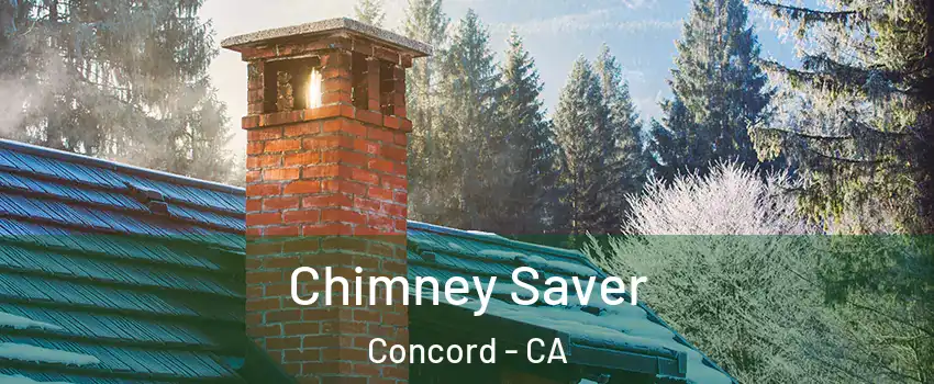 Chimney Saver Concord - CA