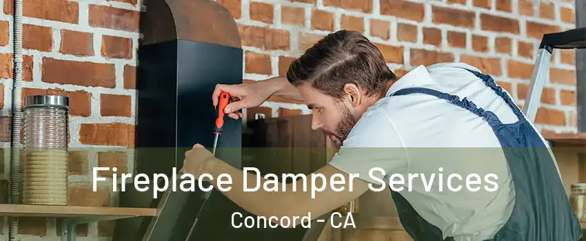 Fireplace Damper Services Concord - CA