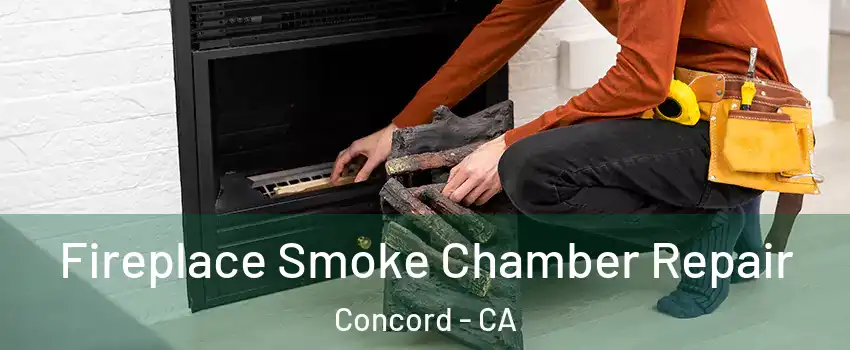 Fireplace Smoke Chamber Repair Concord - CA