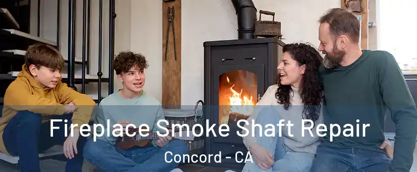 Fireplace Smoke Shaft Repair Concord - CA