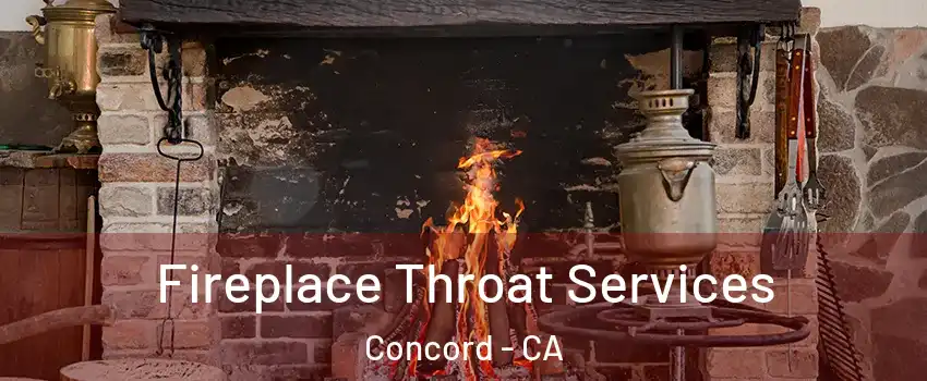 Fireplace Throat Services Concord - CA