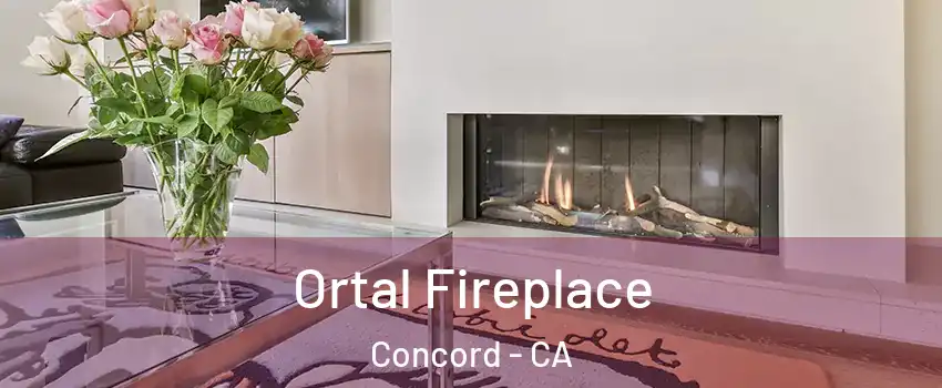 Ortal Fireplace Concord - CA